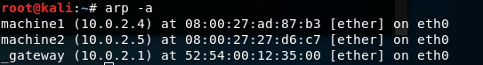 arp Command Output