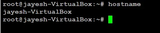 Hostname Command Output