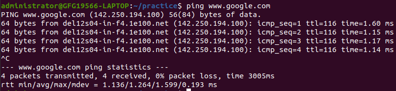 Ping Command Output Example