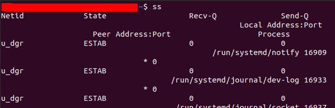 SS Command Output Example