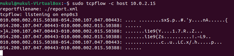tcpflow Command Output